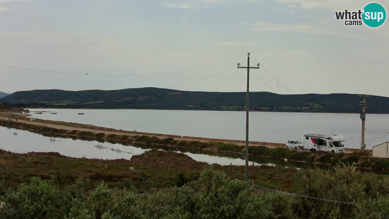 Beach Porto Botte webcam | Sardinia