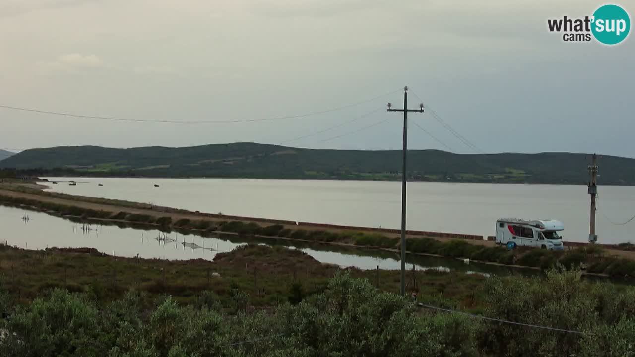 Playa Porto Botte webcam | Cerdena