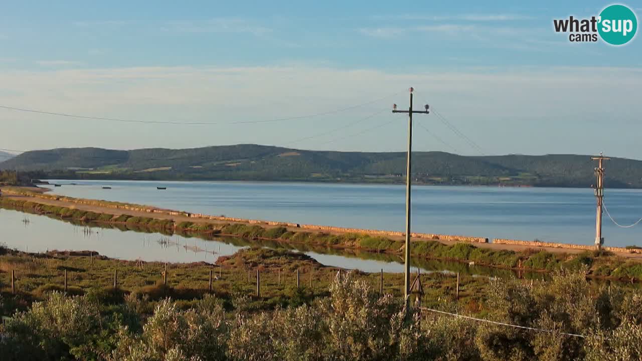 Beach Porto Botte webcam | Sardinia