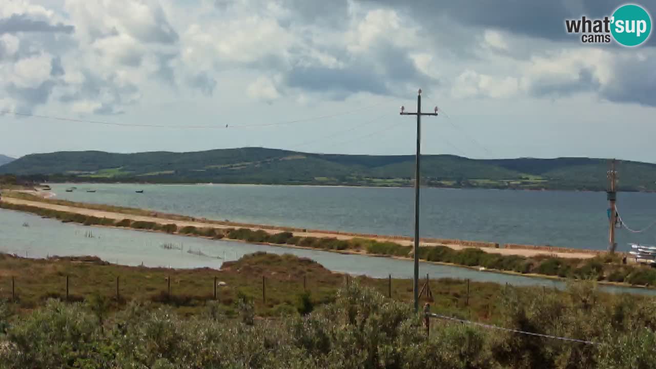 Beach Porto Botte webcam | Sardinia