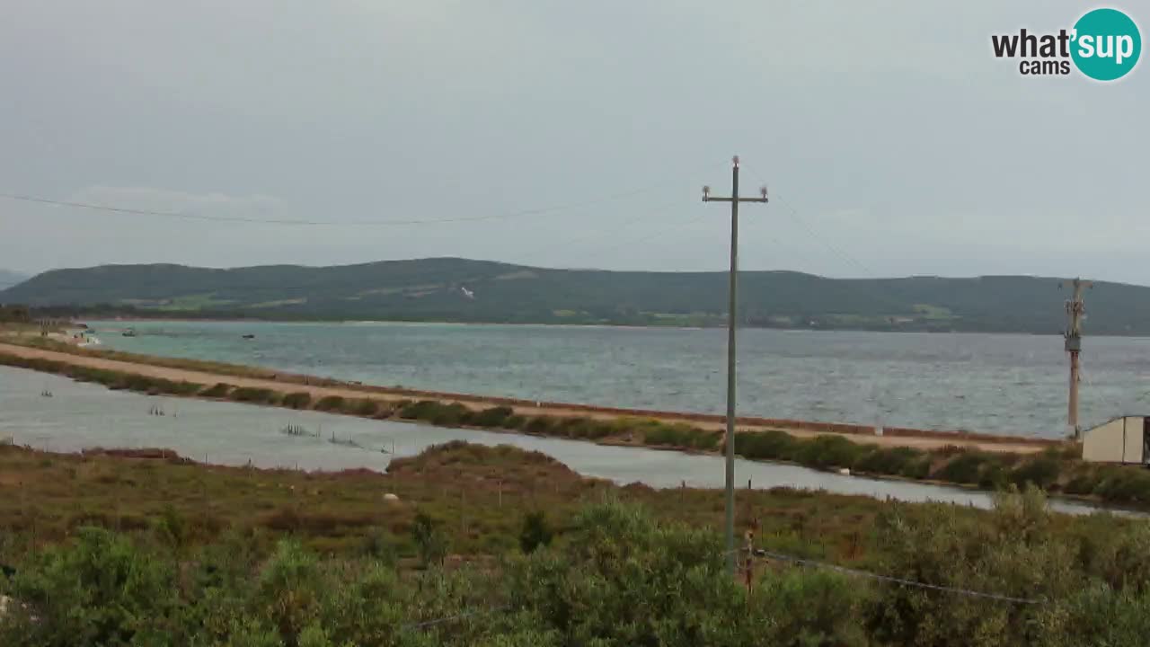 Strand Porto Botte webcam | Sardinien