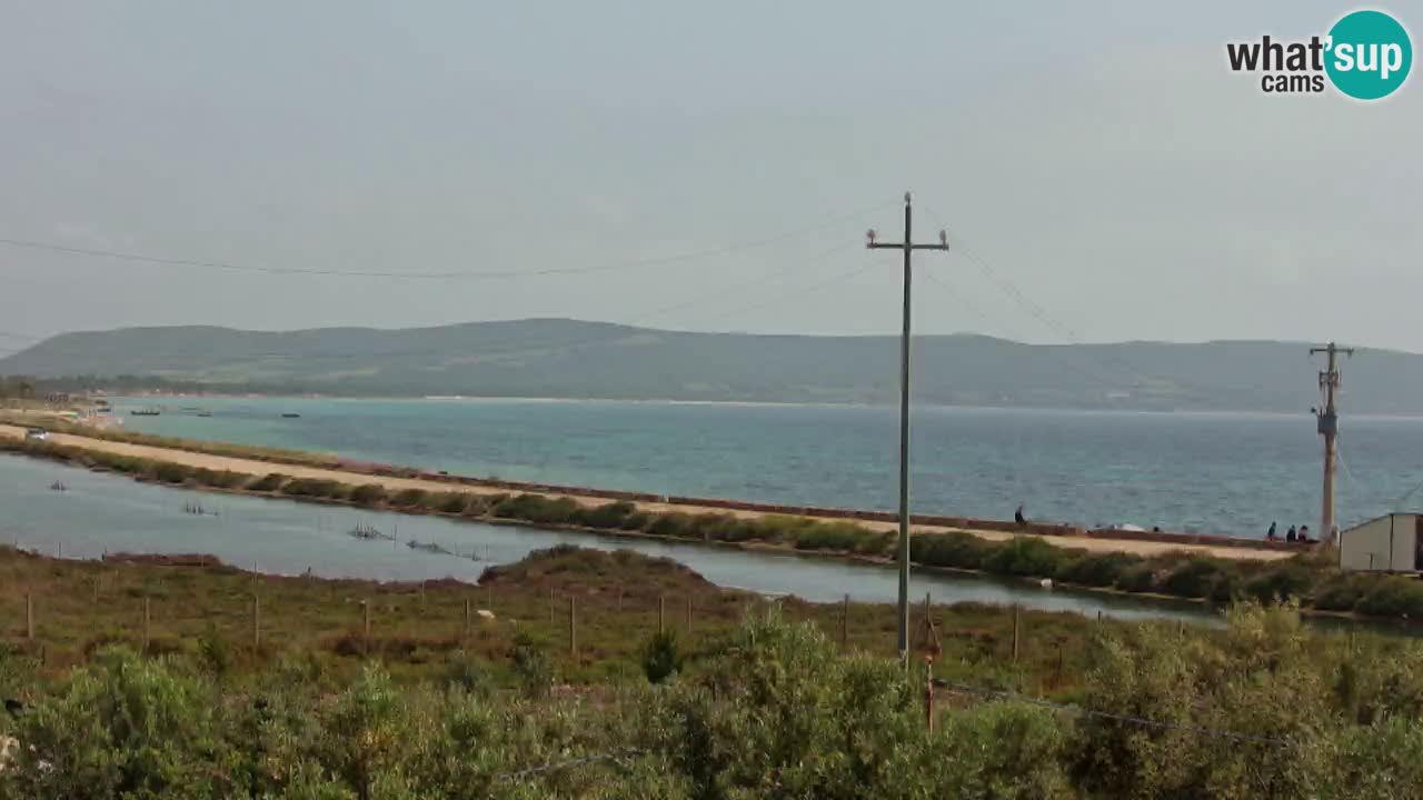 Playa Porto Botte webcam | Cerdena