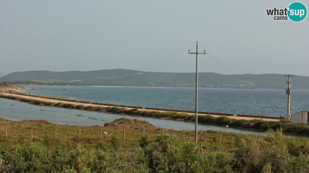 Beach Porto Botte webcam | Sardinia