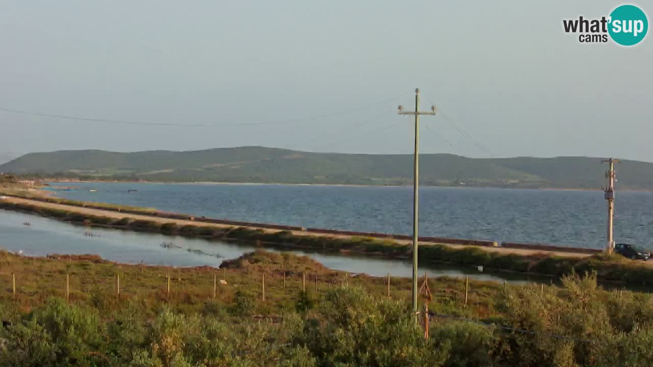 Playa Porto Botte webcam | Cerdena