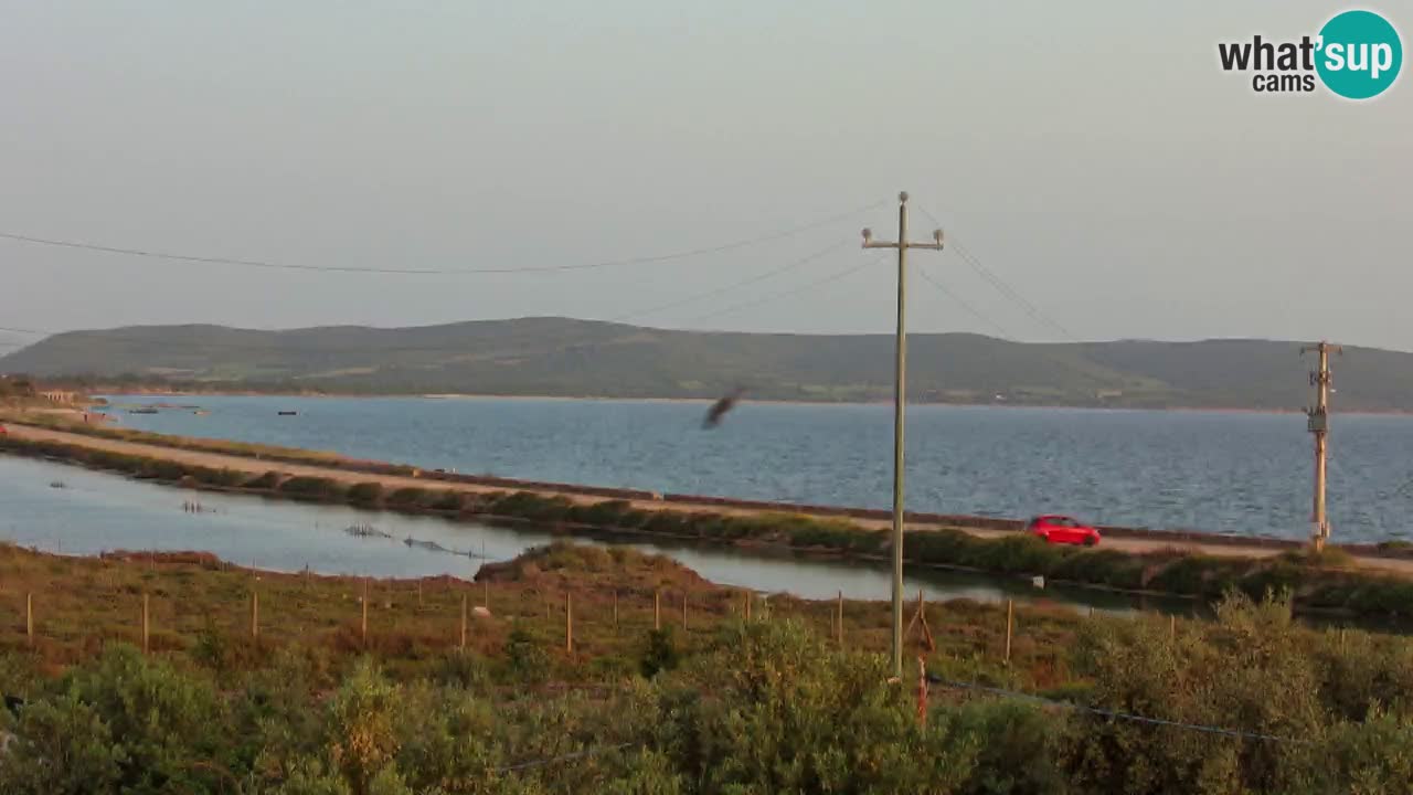 Beach Porto Botte webcam | Sardinia