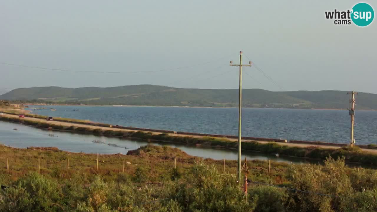Playa Porto Botte webcam | Cerdena