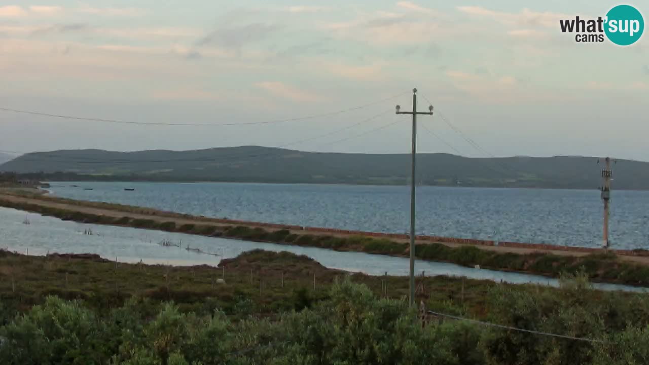 Beach Porto Botte webcam | Sardinia