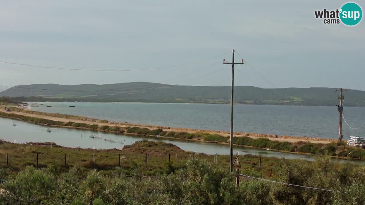 Beach Porto Botte webcam | Sardinia