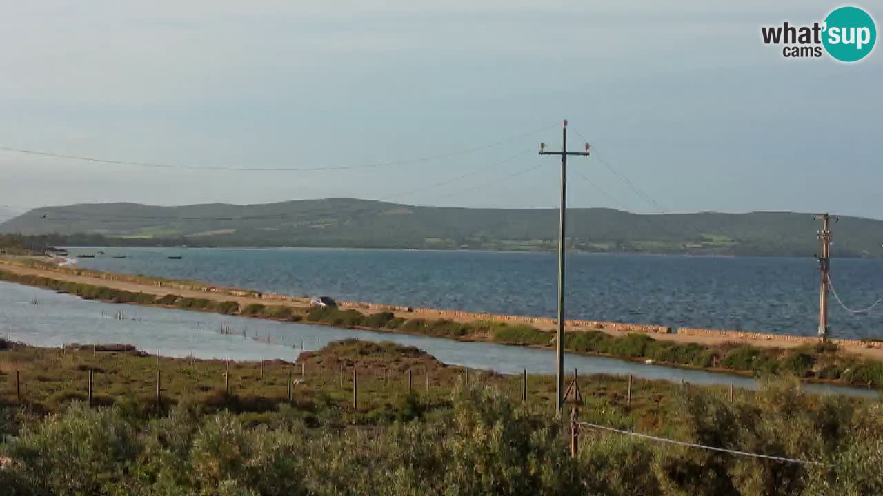 Beach Porto Botte webcam | Sardinia