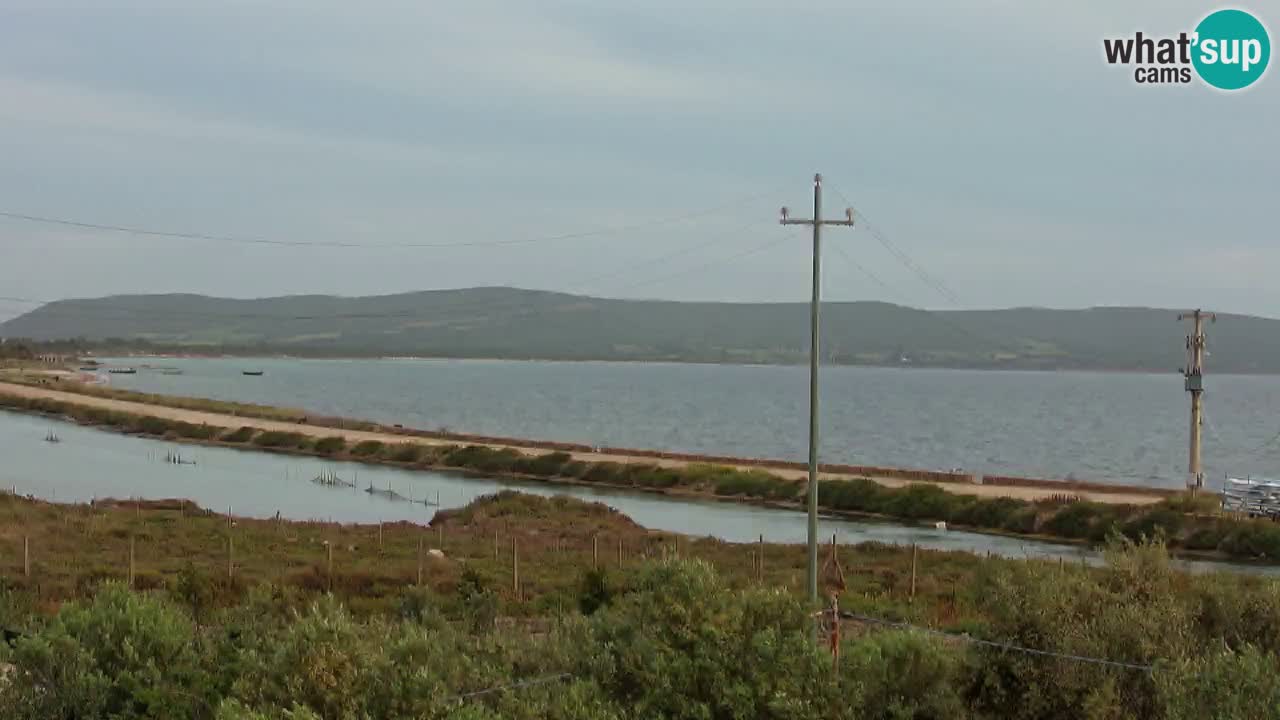Beach Porto Botte webcam | Sardinia