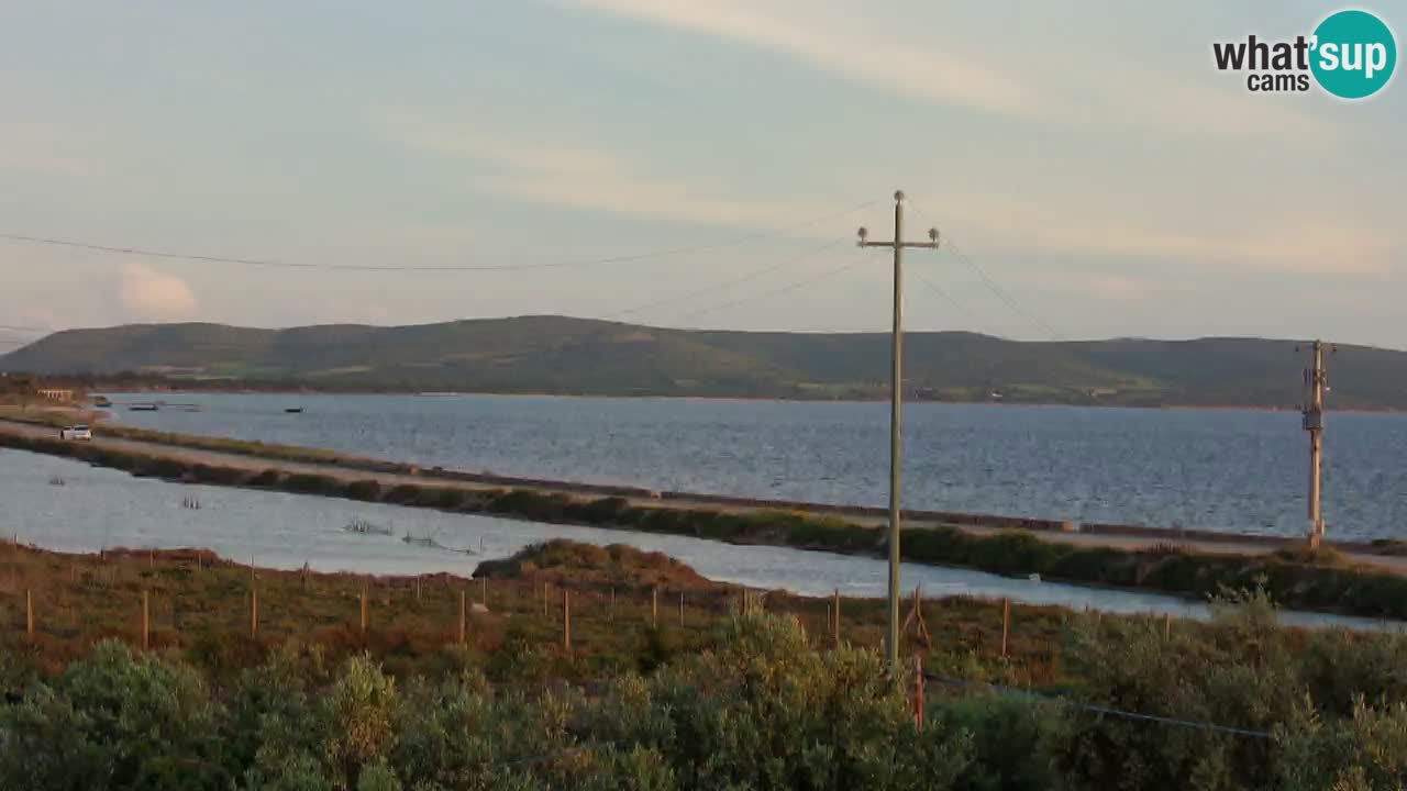 Webcam Porto Botte spiaggia | Sardegna
