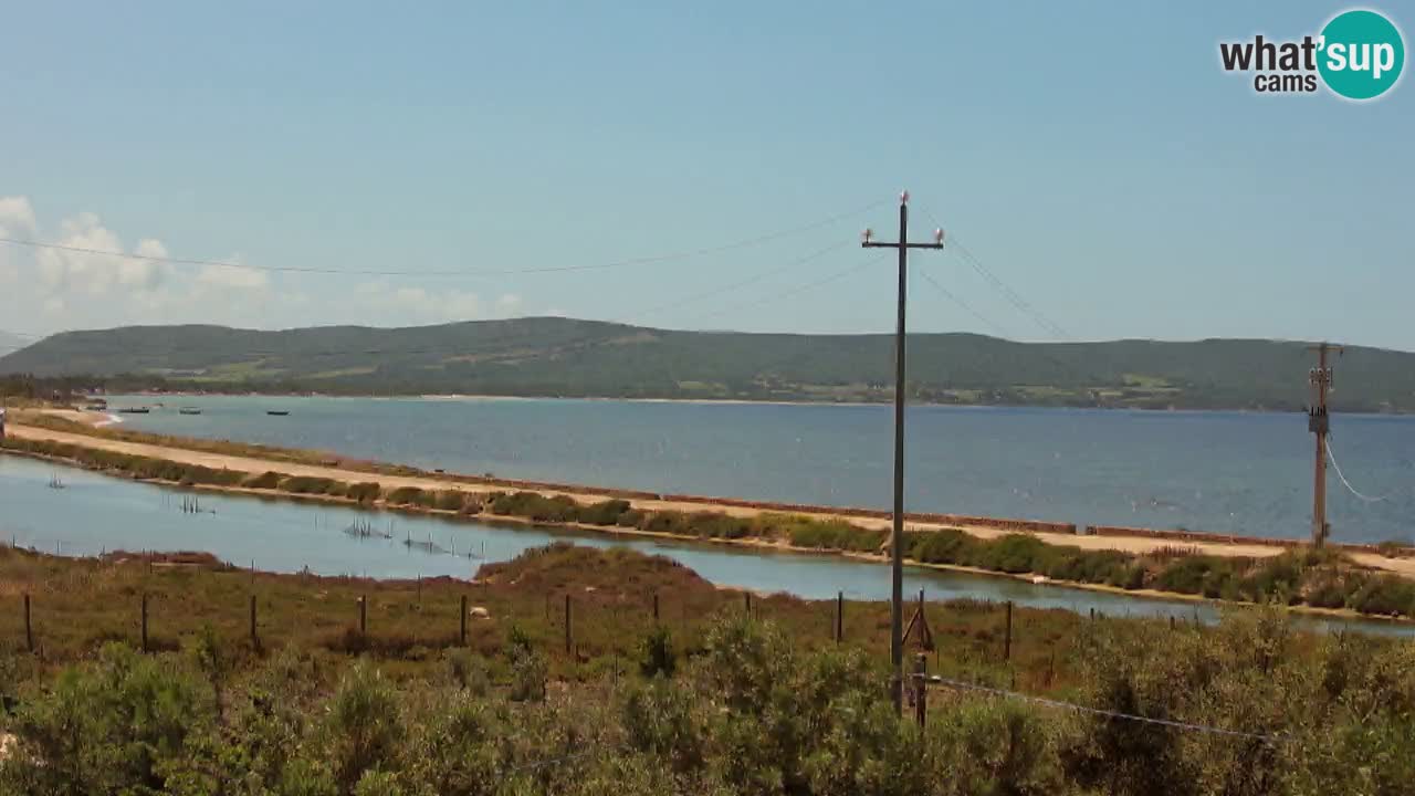Playa Porto Botte webcam | Cerdena
