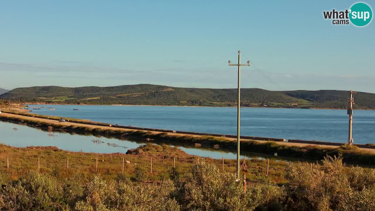 Playa Porto Botte webcam | Cerdena