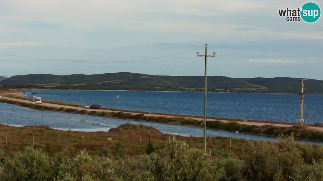 Beach Porto Botte webcam | Sardinia