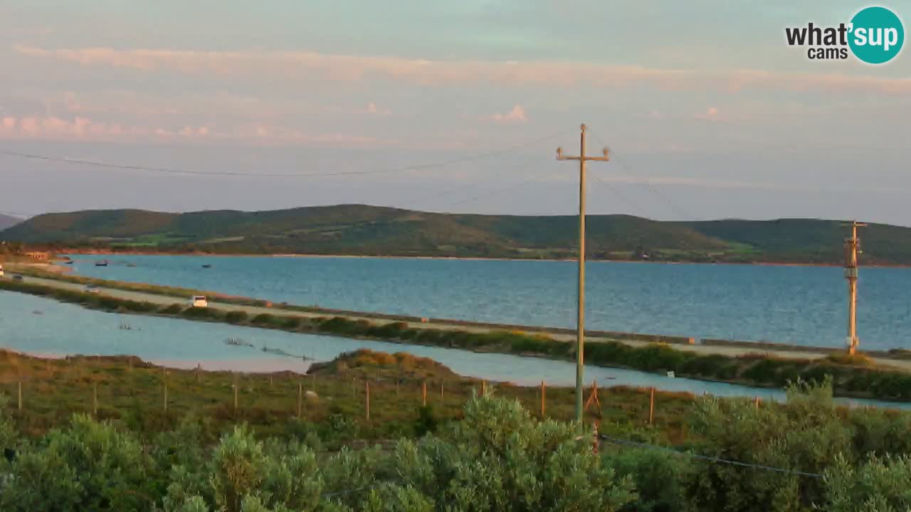 Webcam Porto Botte spiaggia | Sardegna