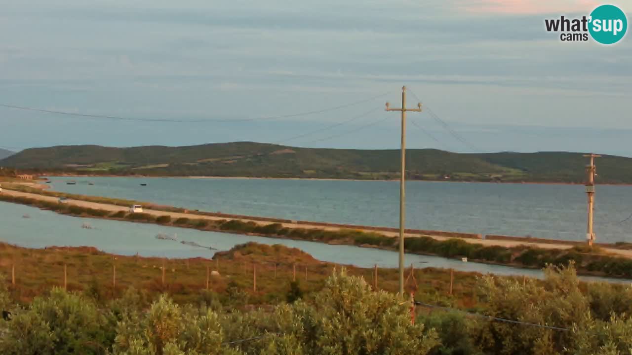 Webcam Porto Botte spiaggia | Sardegna