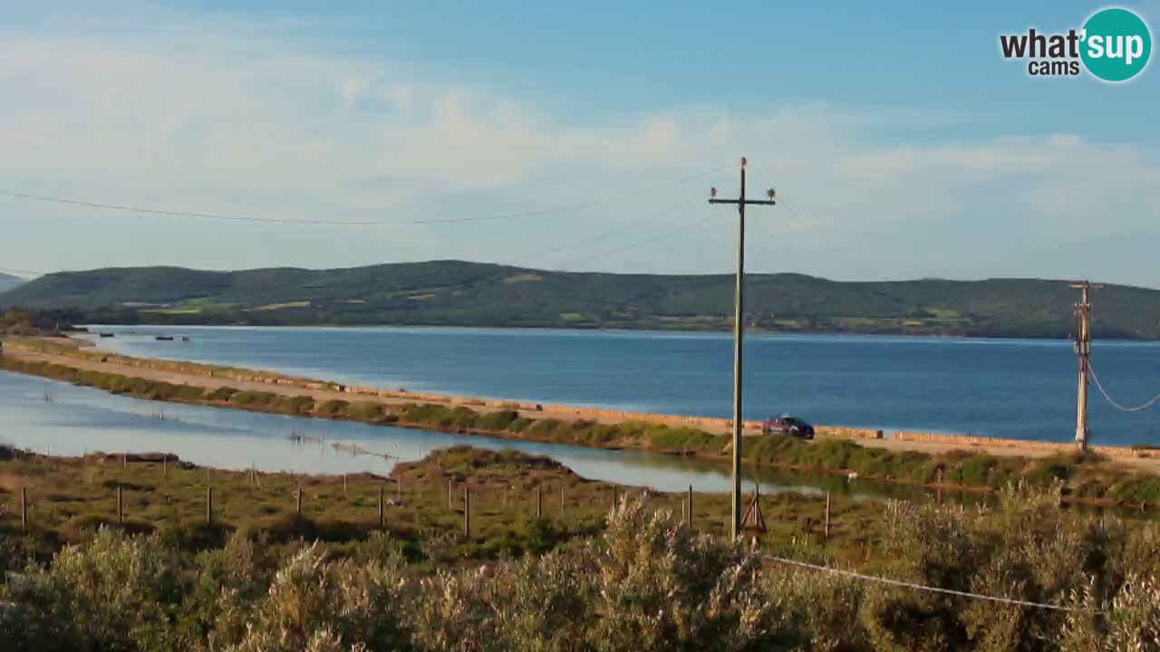 Strand Porto Botte webcam | Sardinien
