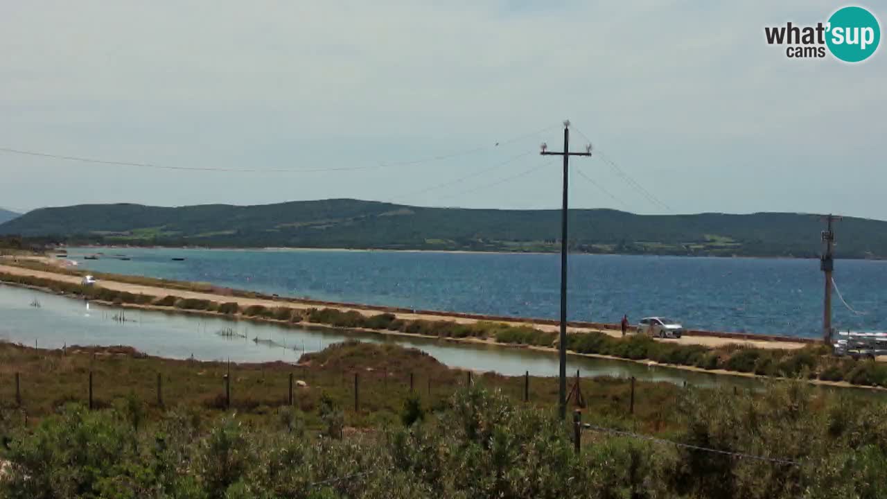 Webcam Porto Botte spiaggia | Sardegna
