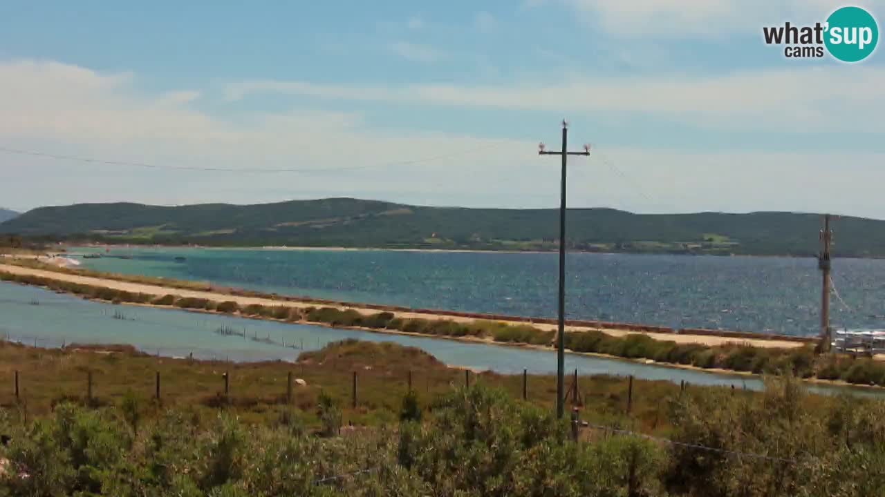 Playa Porto Botte webcam | Cerdena