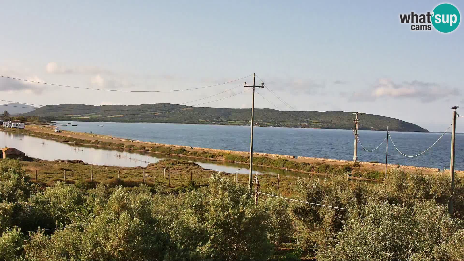 Beach Porto Botte webcam | Sardinia