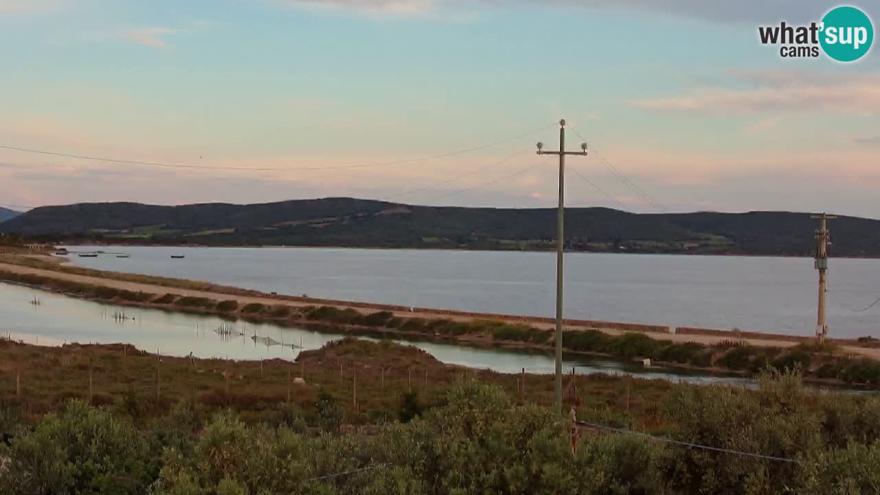 Webcam Porto Botte spiaggia | Sardegna