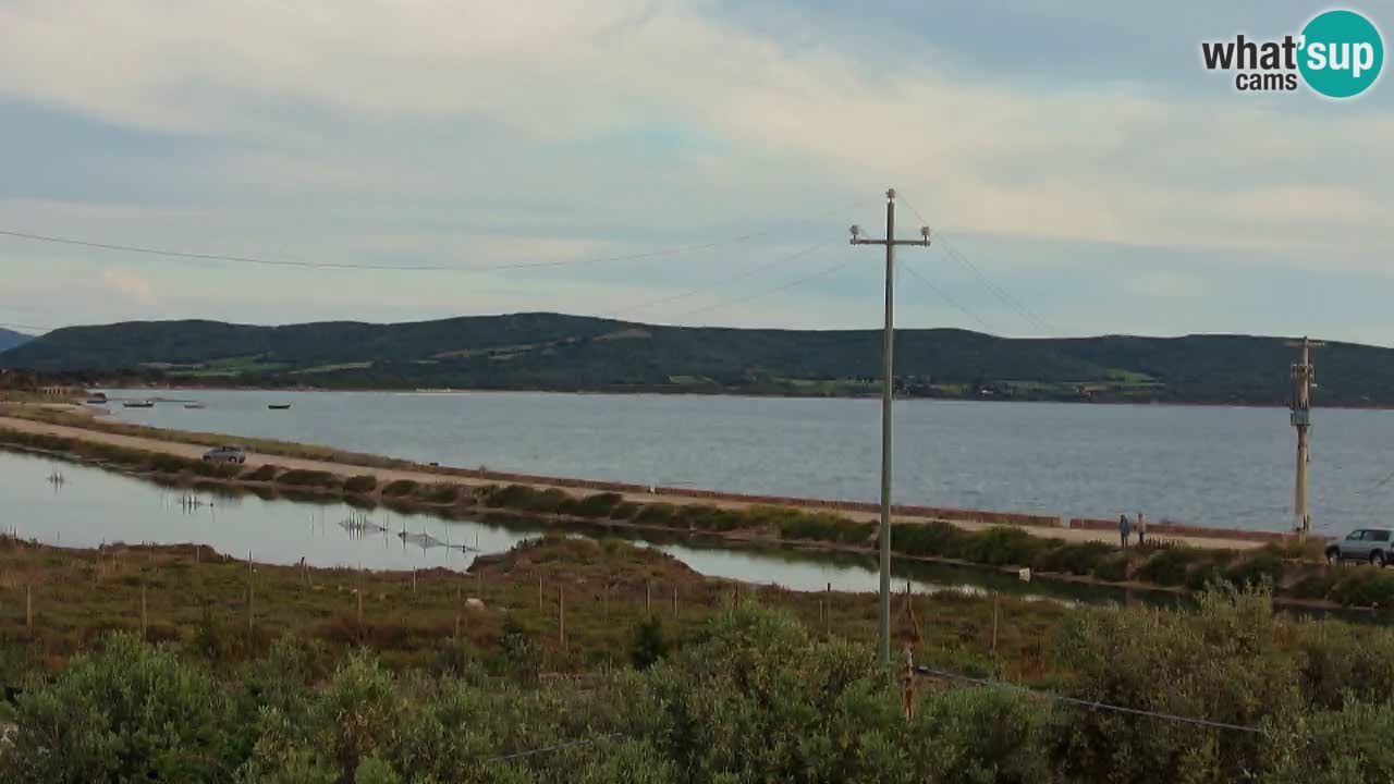 Strand Porto Botte webcam | Sardinien