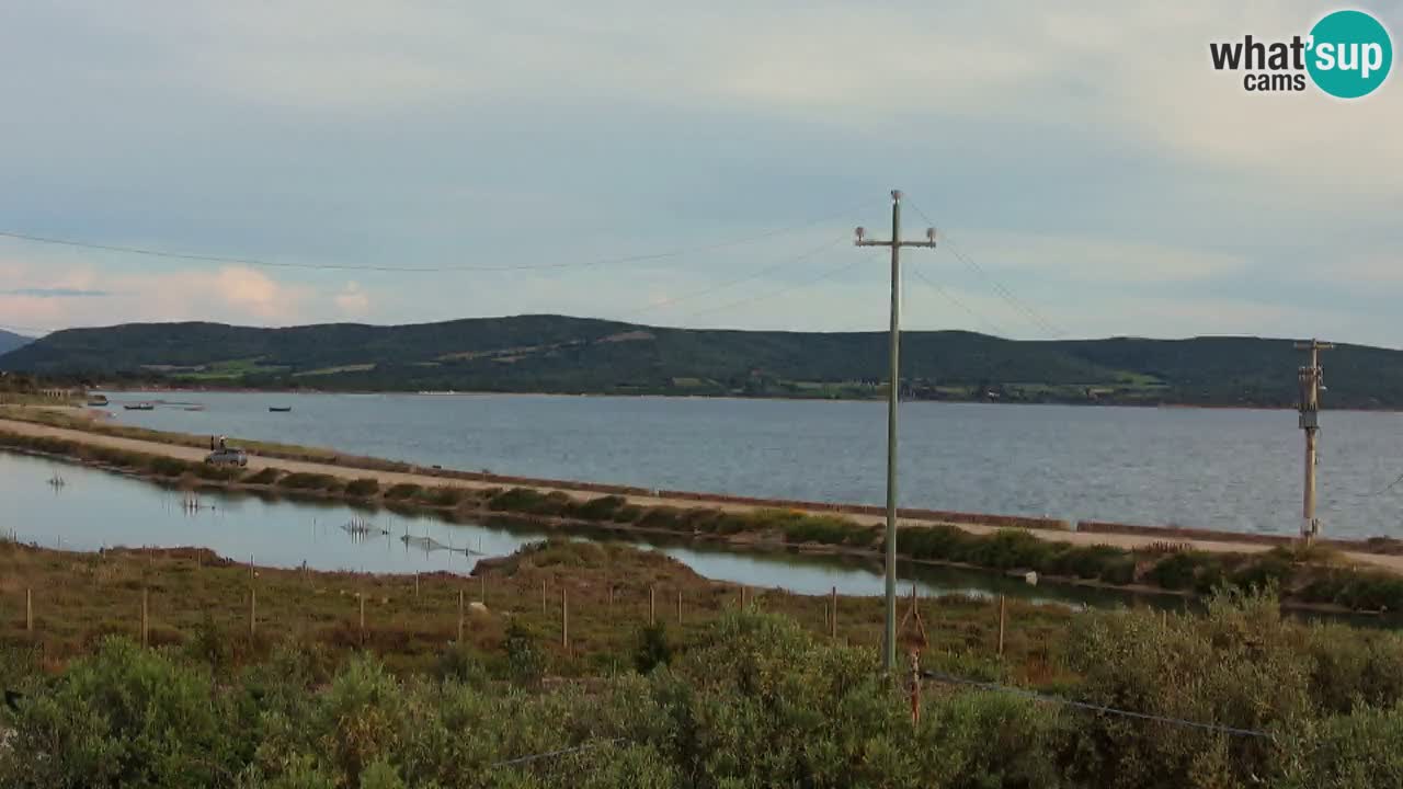 Webcam Porto Botte spiaggia | Sardegna
