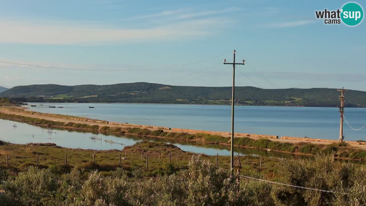 Beach Porto Botte webcam | Sardinia