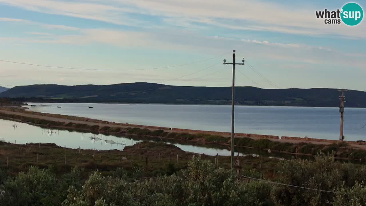 Beach Porto Botte webcam | Sardinia