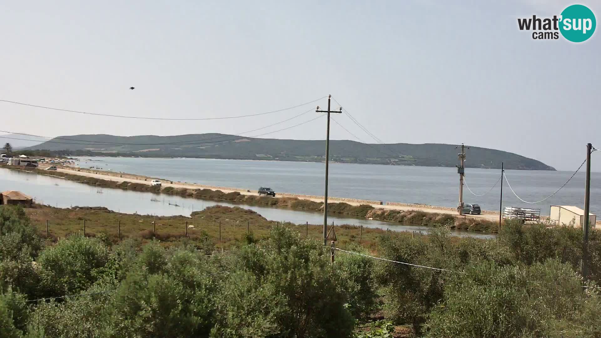 Plage Porto Botte webcam | Sardaigne