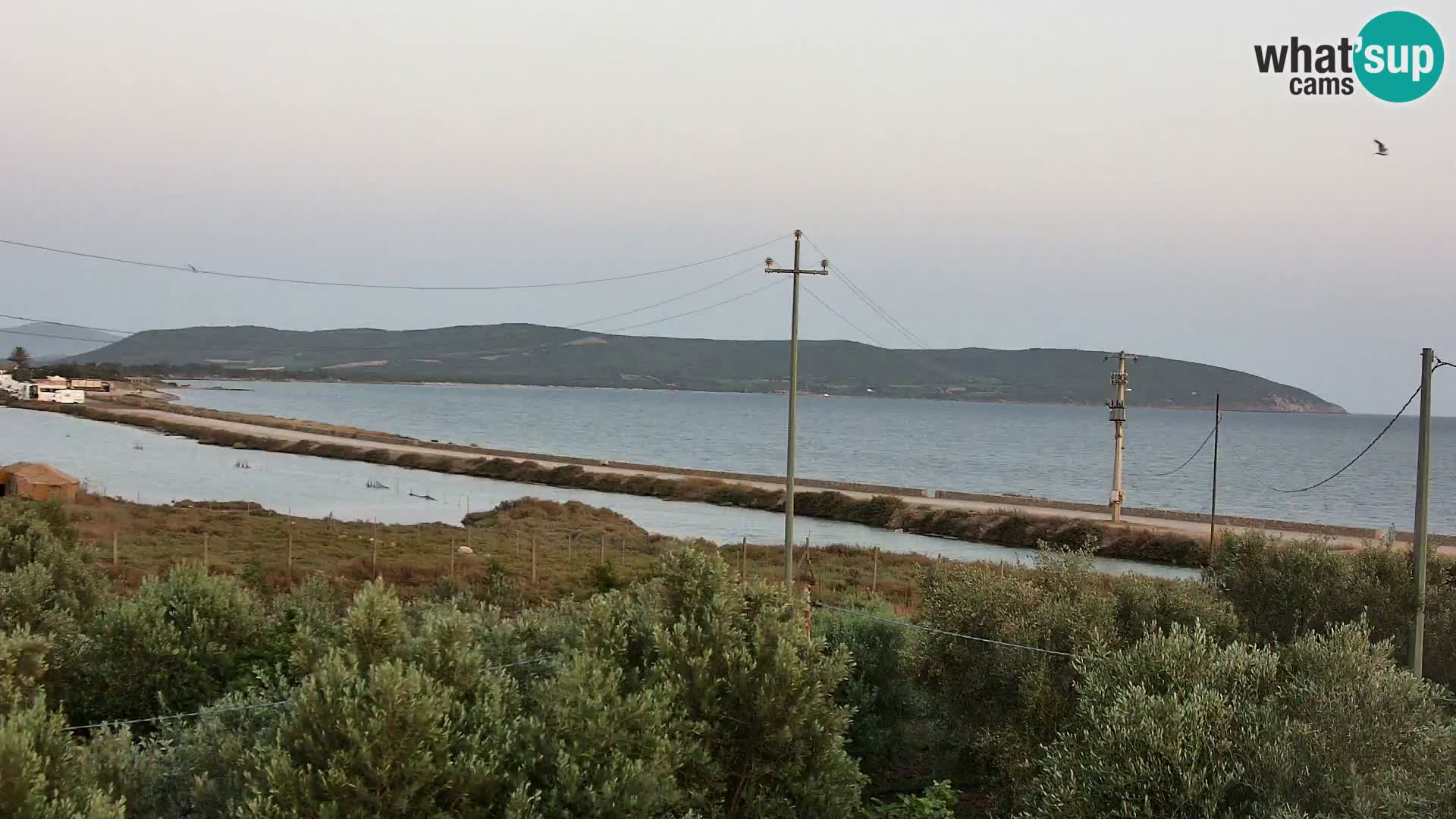 Webcam Porto Botte spiaggia | Sardegna