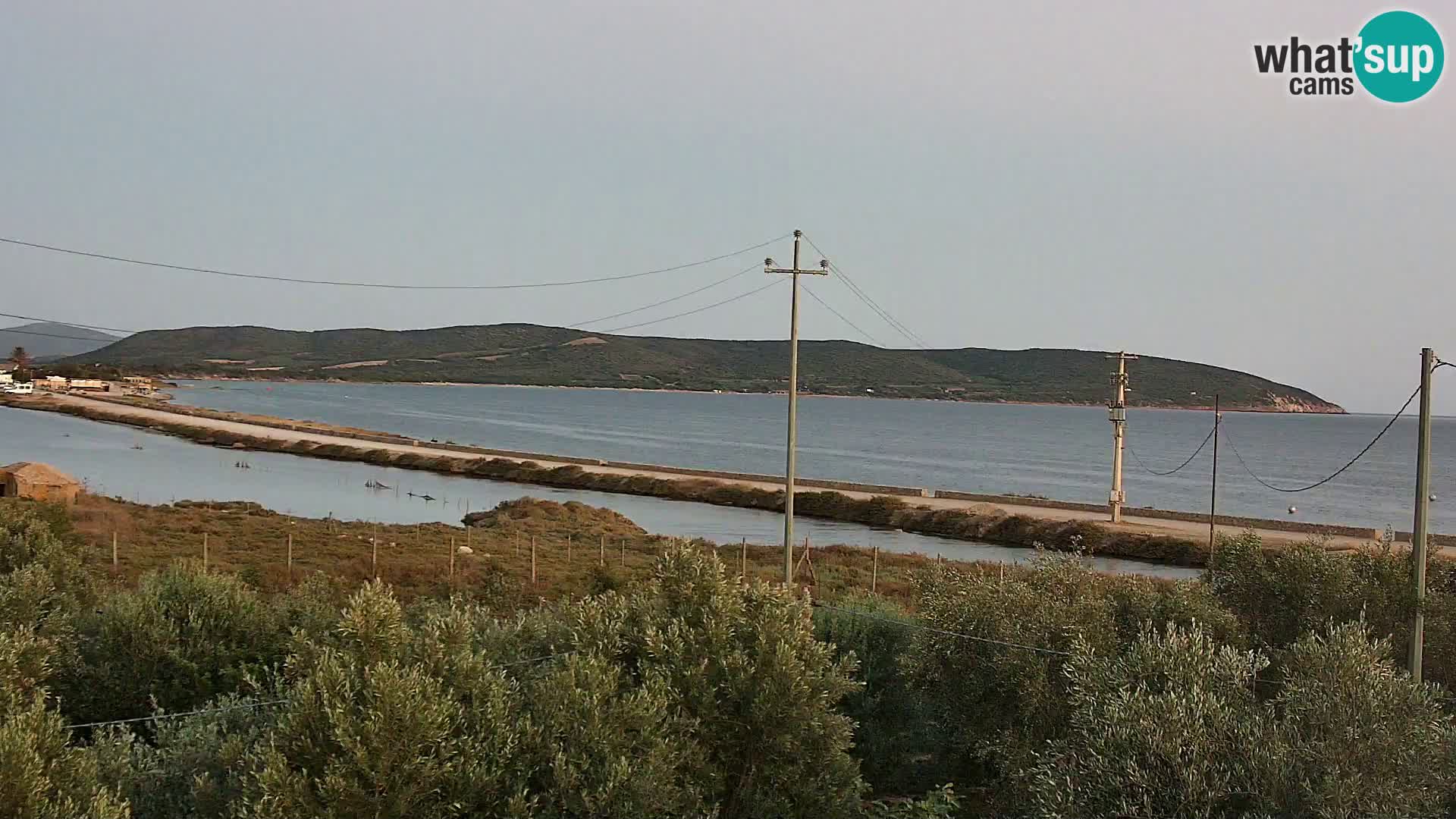 Plage Porto Botte webcam | Sardaigne