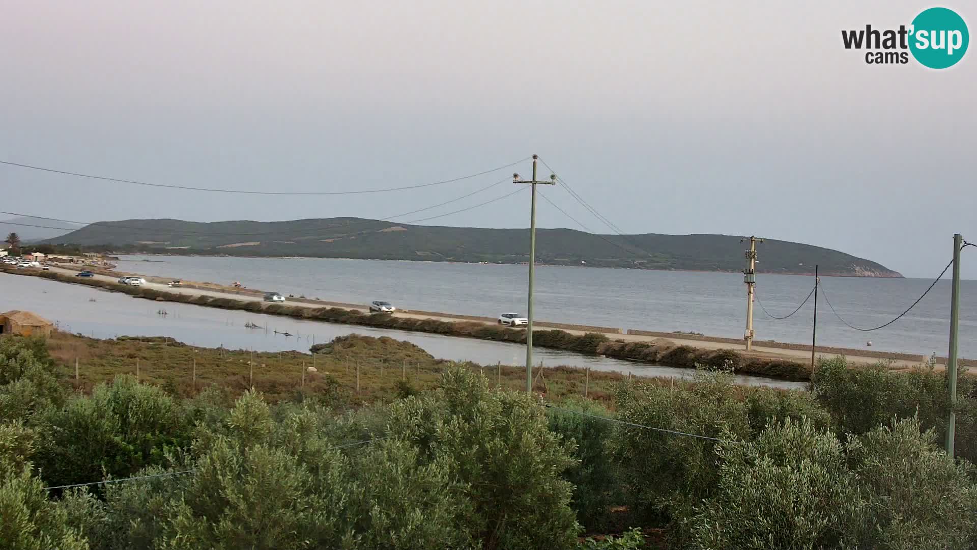 Plage Porto Botte webcam | Sardaigne