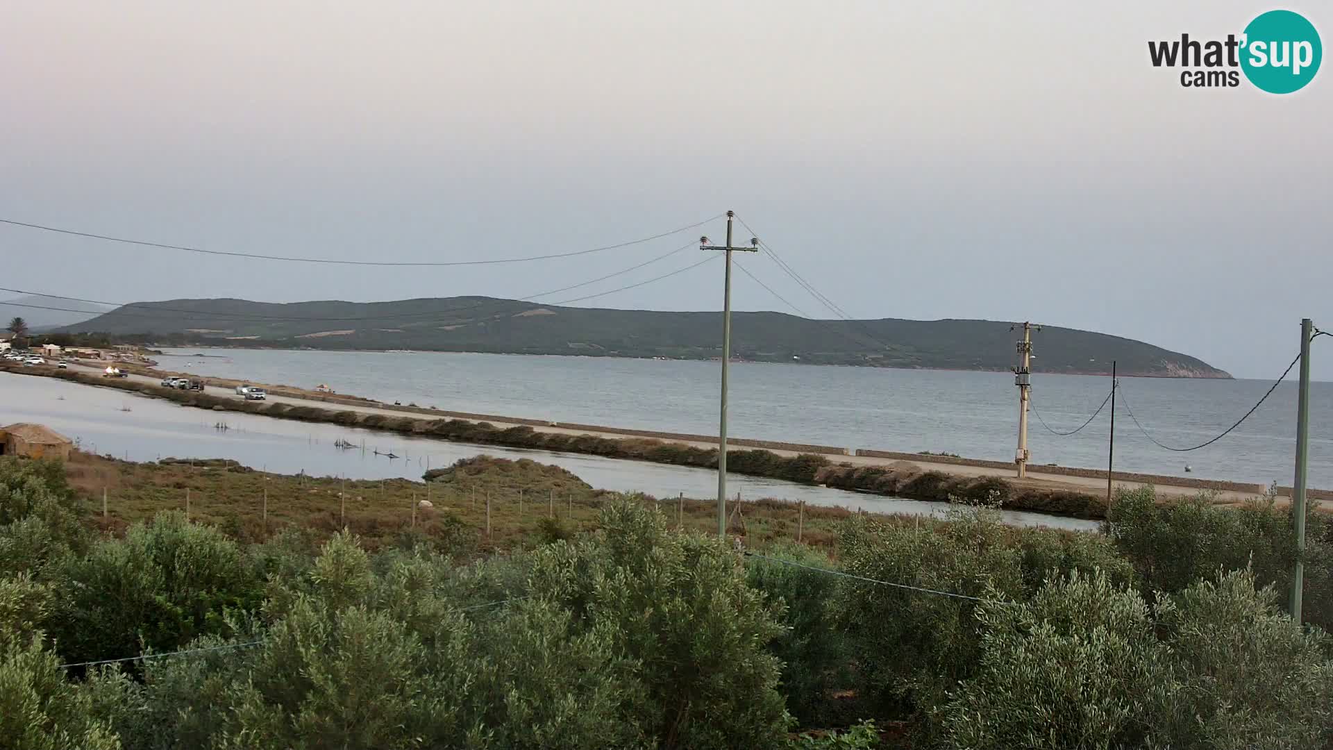Plage Porto Botte webcam | Sardaigne