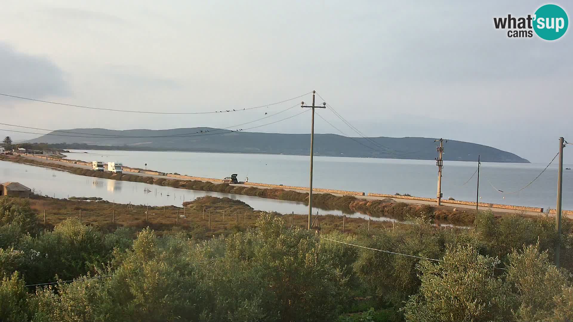 Plage Porto Botte webcam | Sardaigne