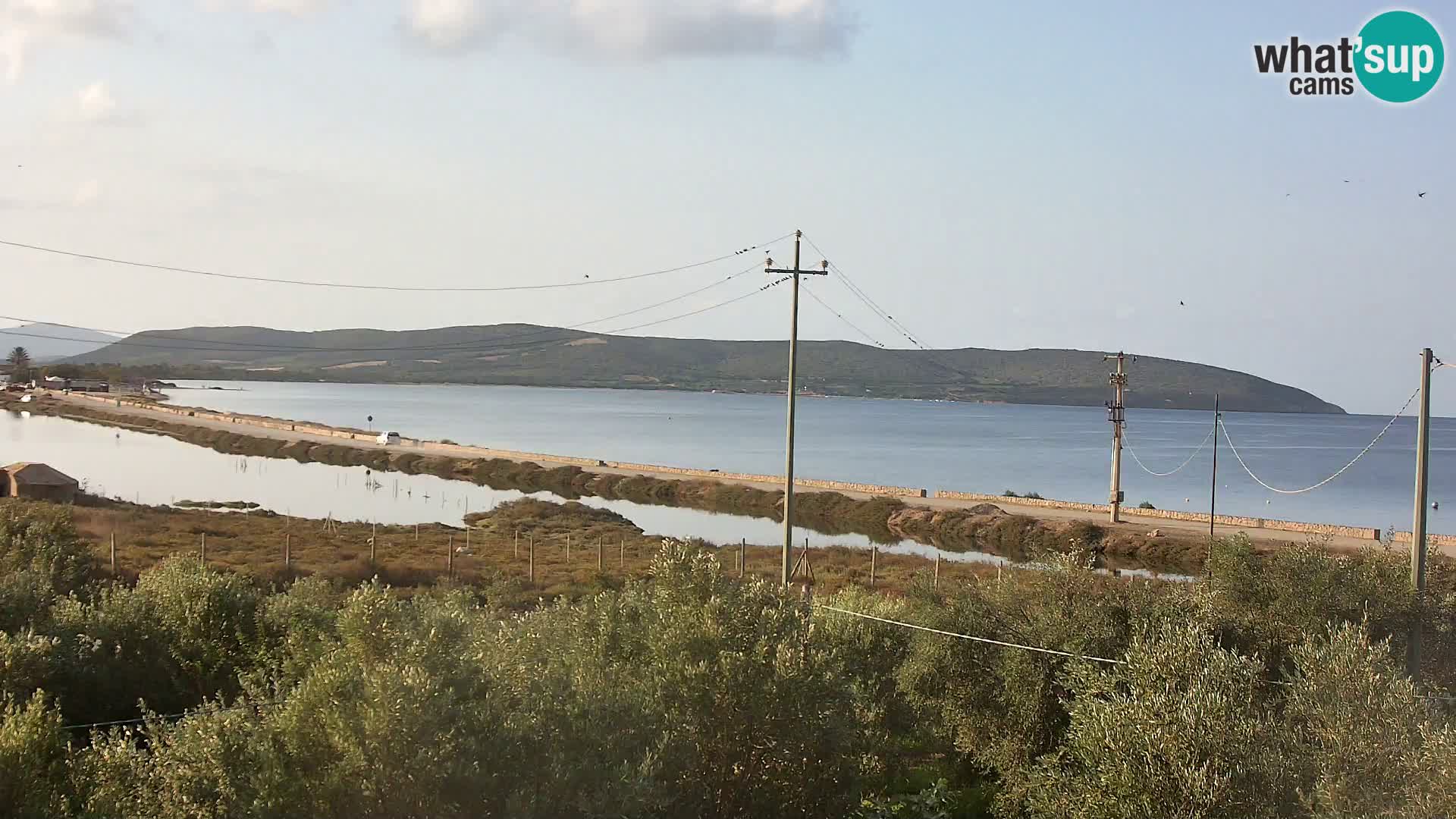 Strand Porto Botte webcam | Sardinien
