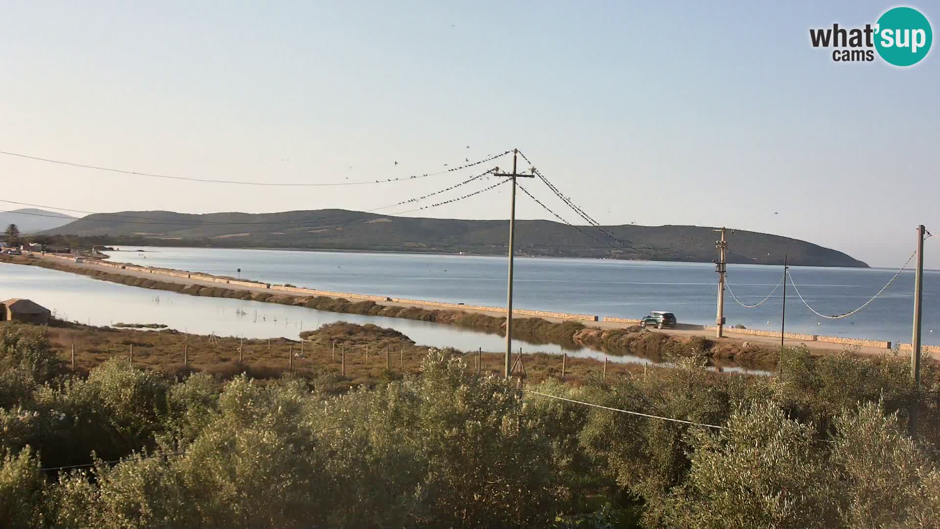 Webcam Porto Botte spiaggia | Sardegna