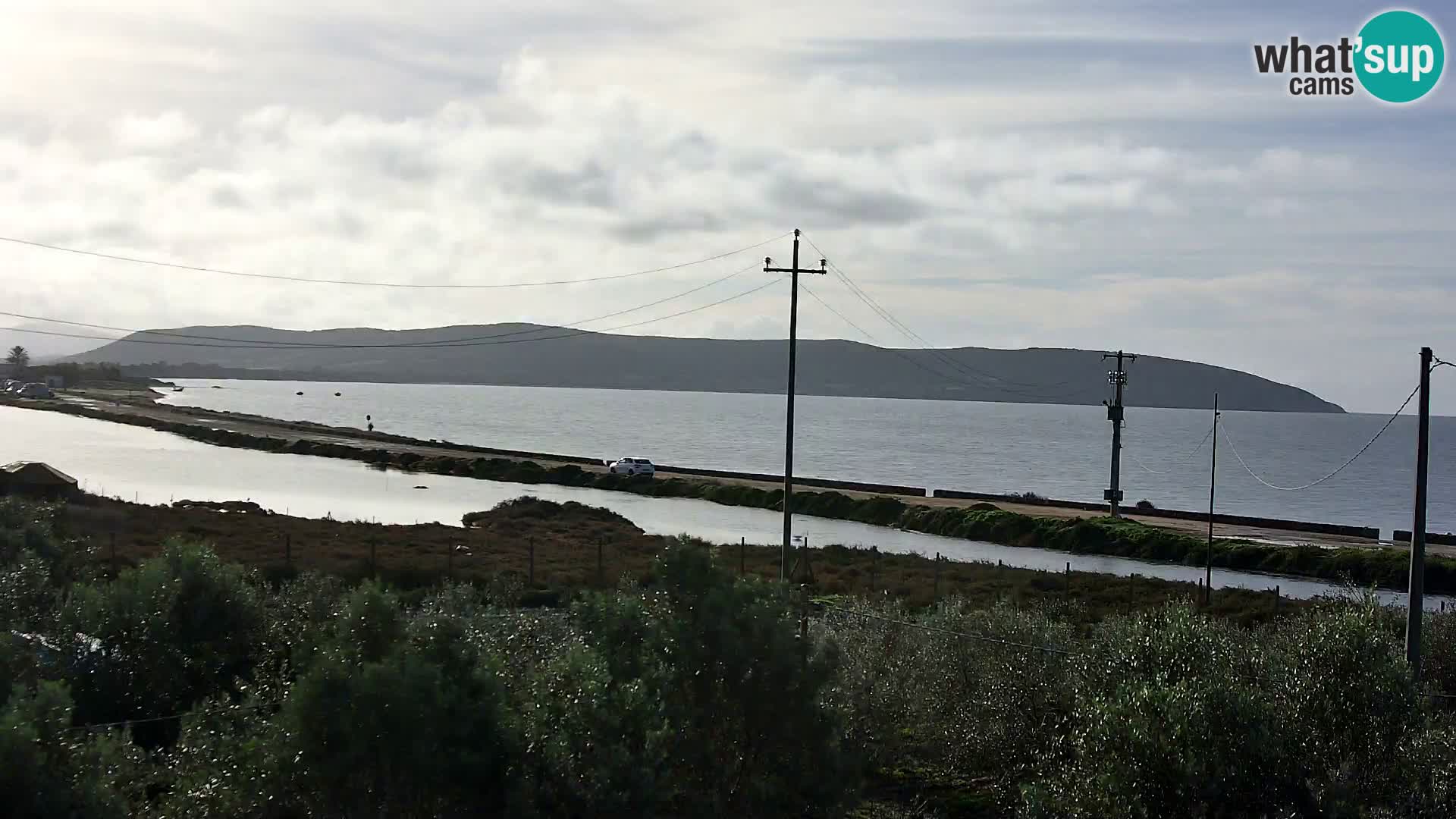 Beach Porto Botte webcam | Sardinia