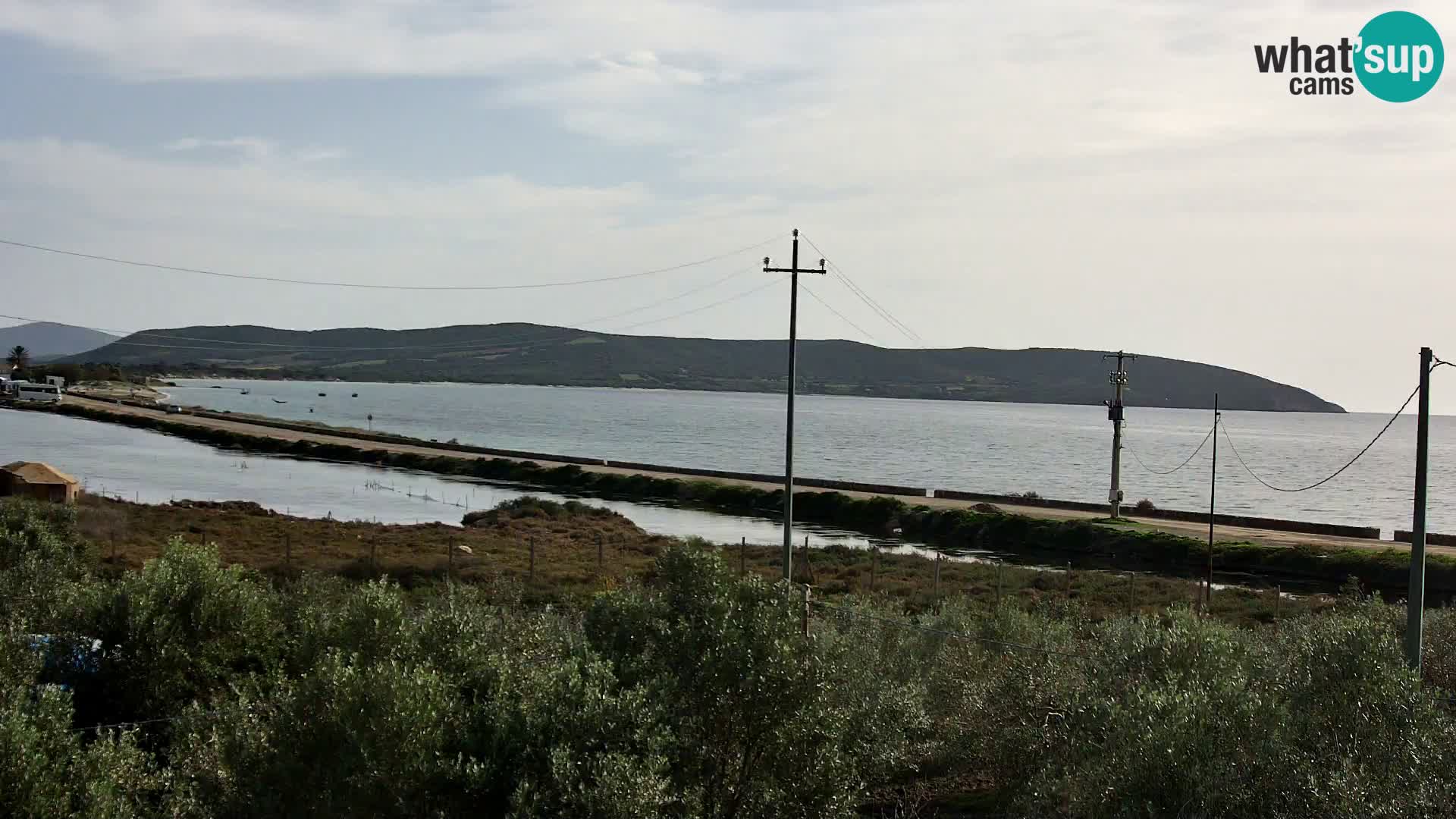 Plage Porto Botte webcam | Sardaigne