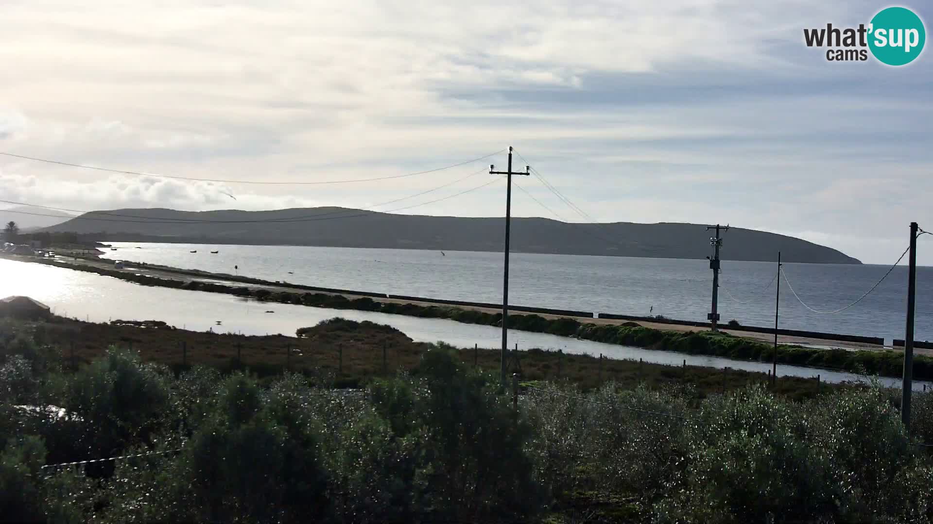 Beach Porto Botte webcam | Sardinia