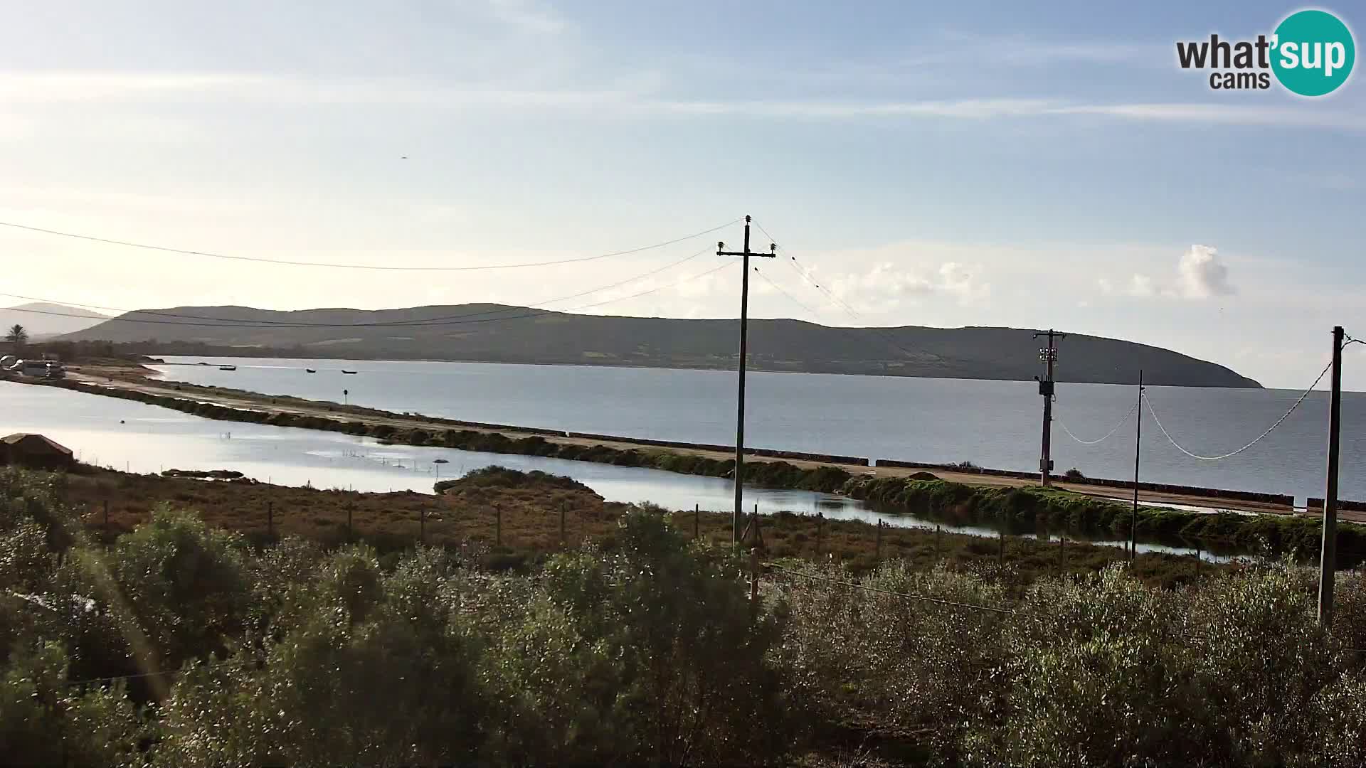 Plage Porto Botte webcam | Sardaigne