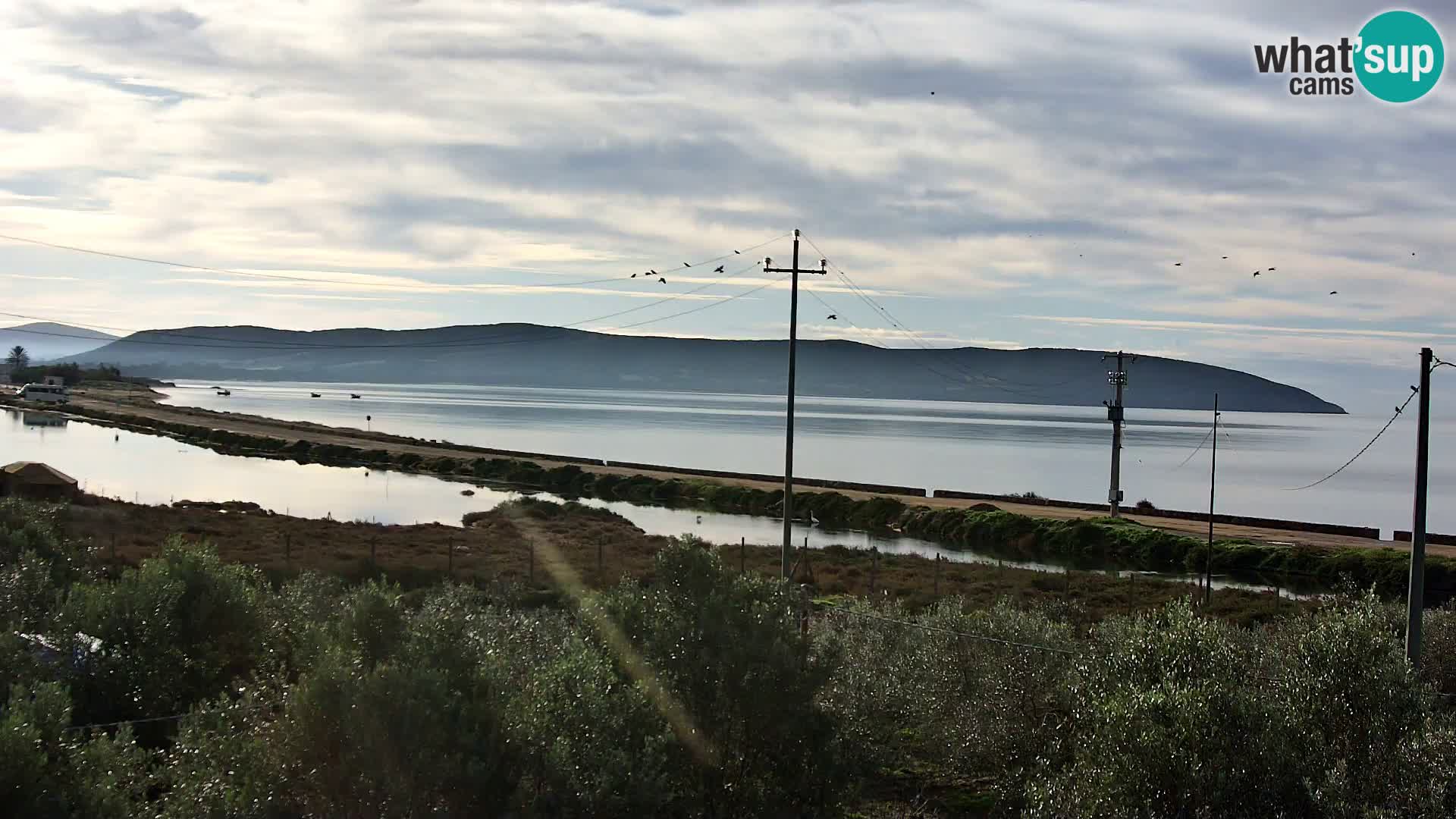 Plage Porto Botte webcam | Sardaigne