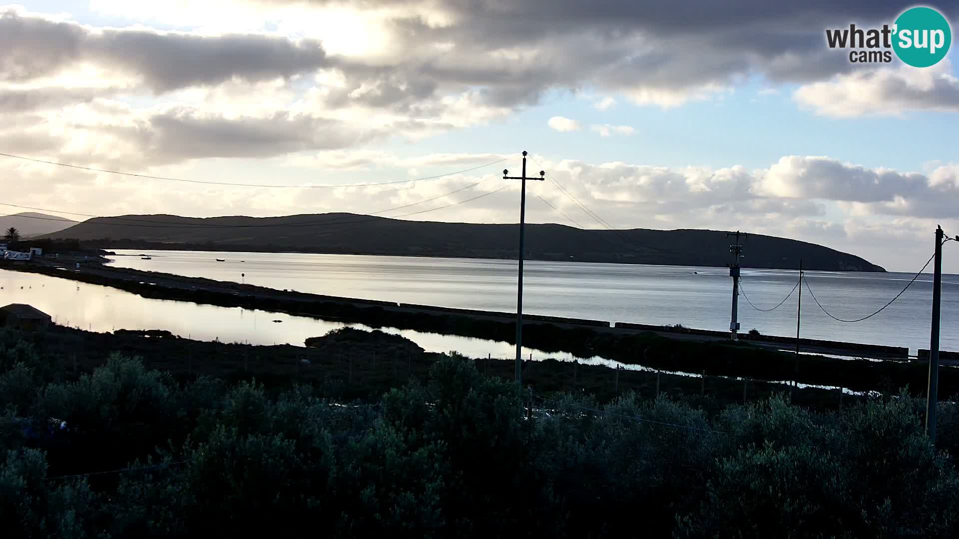Plage Porto Botte webcam | Sardaigne