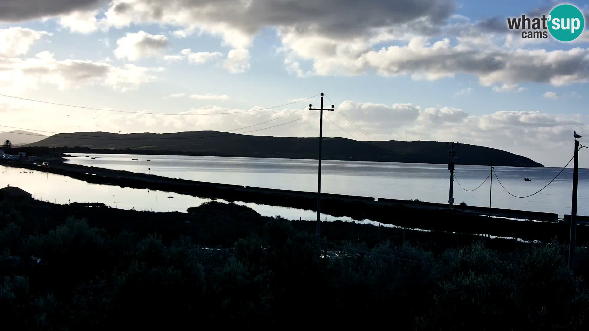 Strand Porto Botte webcam | Sardinien