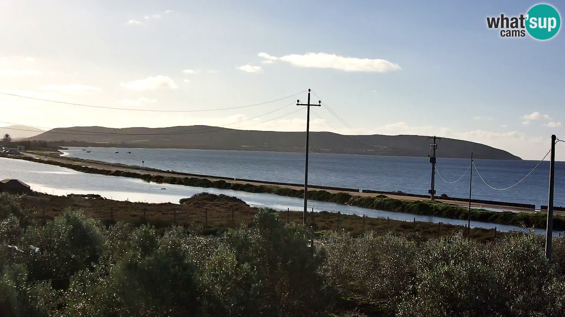 Beach Porto Botte webcam | Sardinia