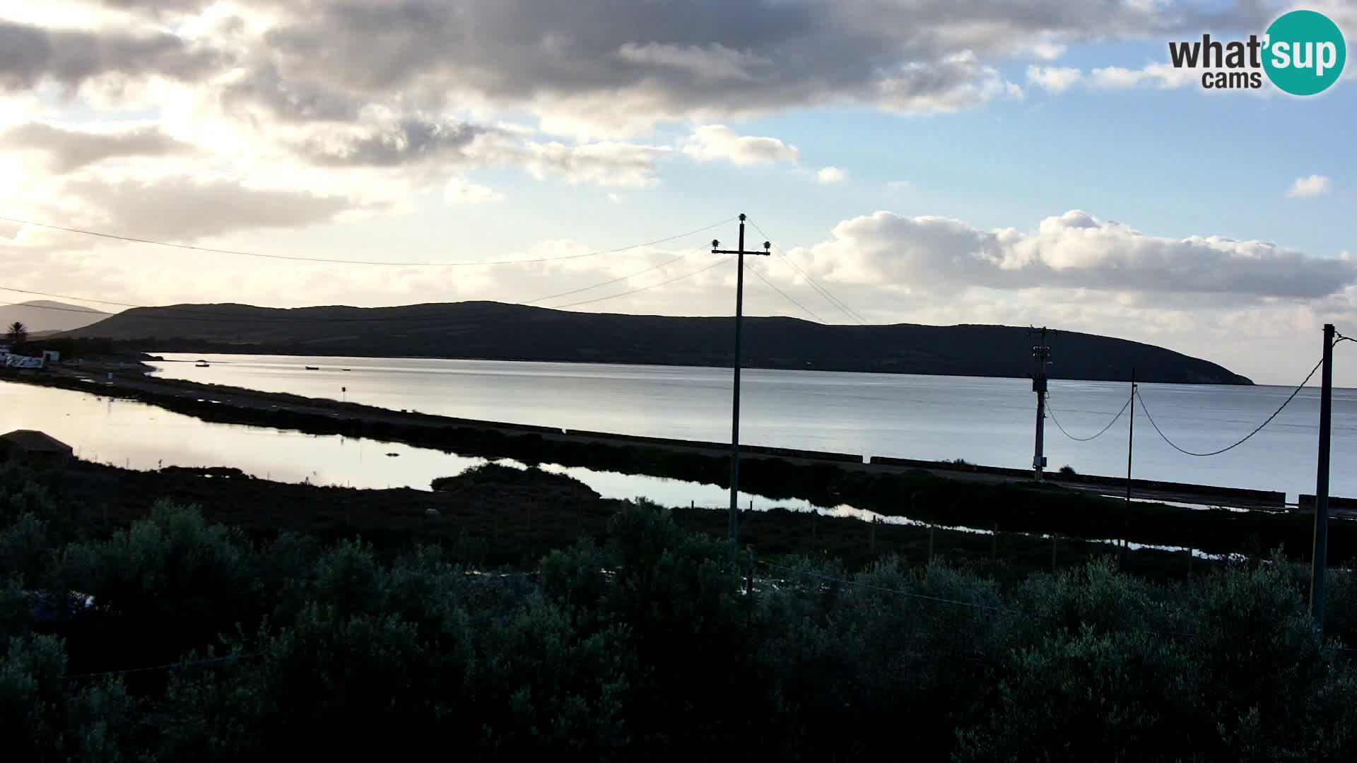 Plage Porto Botte webcam | Sardaigne