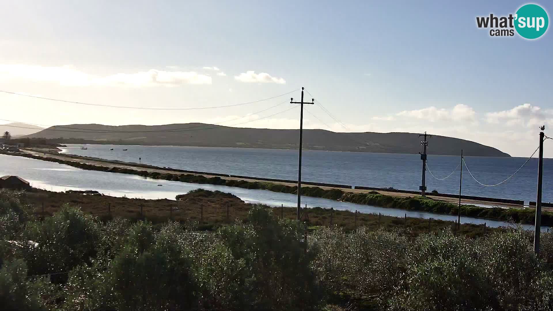 Webcam Porto Botte spiaggia | Sardegna