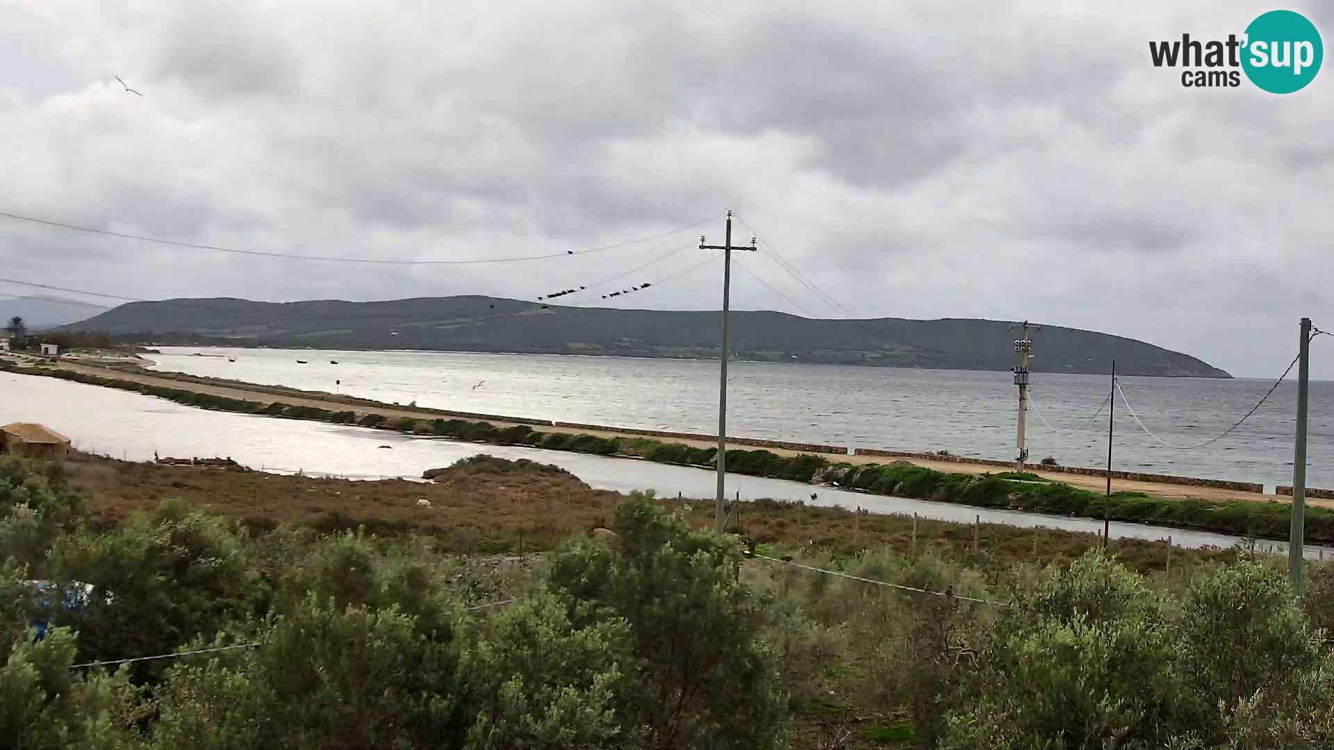 Playa Porto Botte webcam | Cerdena