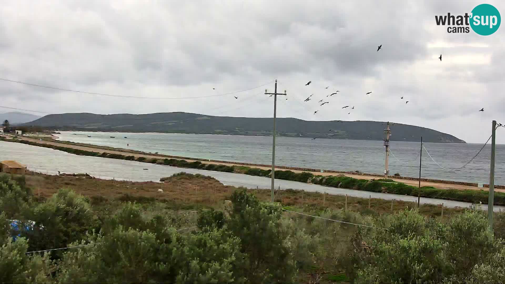 Webcam Porto Botte spiaggia | Sardegna