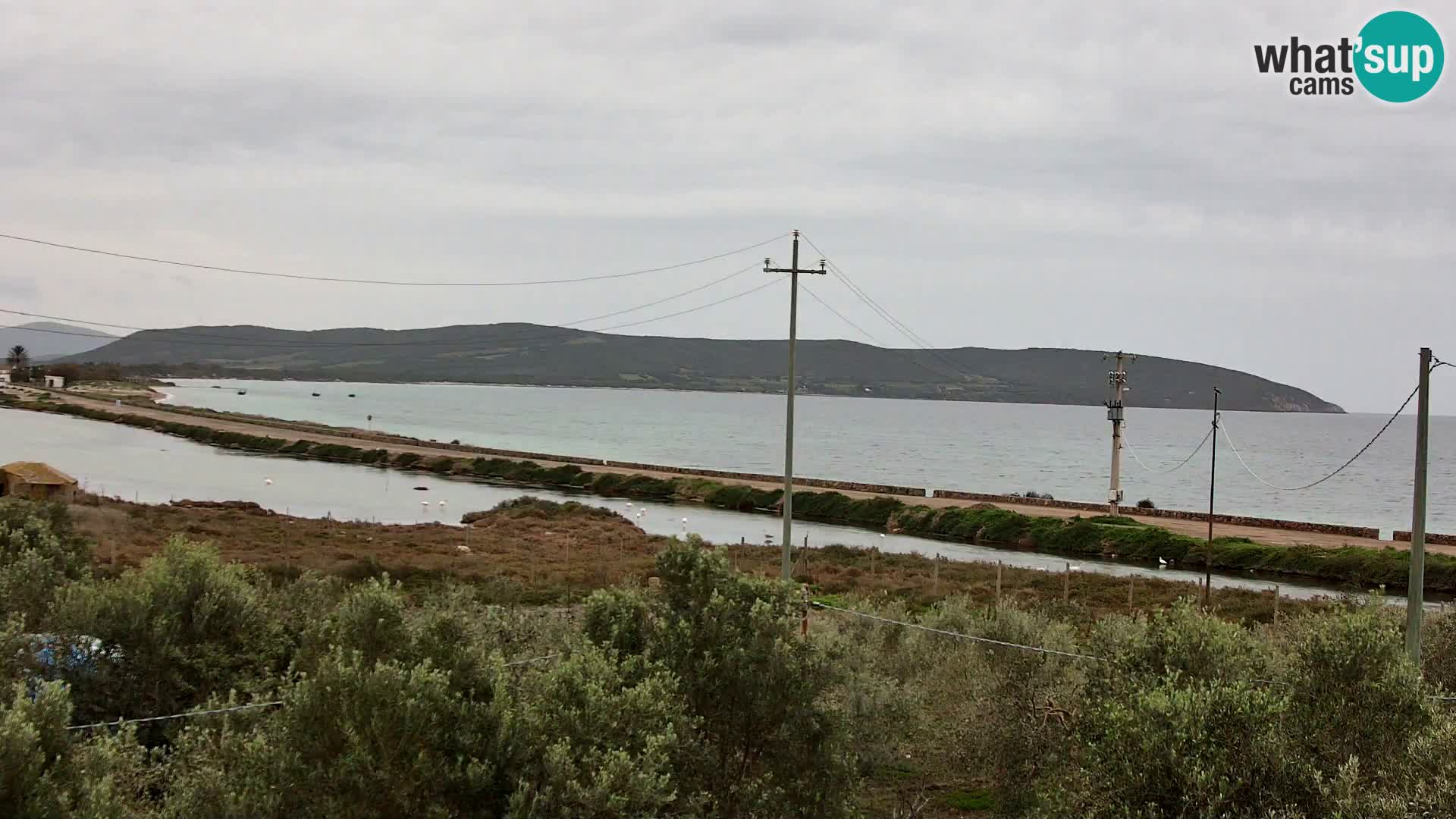 Playa Porto Botte webcam | Cerdena